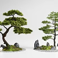 Two Artistic Pine Trees with Decorative Stones and Lush Grass in Bonsai Landscape Setup