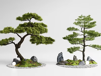 Two Artistic Pine Trees with Decorative Stones and Lush Grass in Bonsai Landscape Setup 3d model