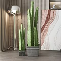 Tall and Small Cactus Potted Plants in Gray Pots for Modern Interior Decor