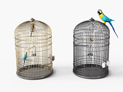 Ornamental Decoration Combination Featuring Golden Black Birdcages With Parrot On Top And Small Bird Inside 3d model