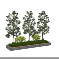 Arbor Trees Arranged in Stone Bases With Green Grass and Small Shrubs