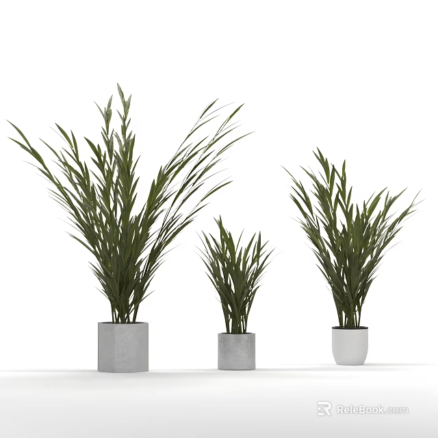 Decorative Green Plants In Different Sizes With Gray And White Pots On White Background 3d model 