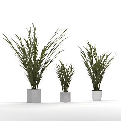 Decorative Green Plants In Different Sizes With Gray And White Pots On White Background 3d model