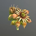3D Model Flower With Yellow Orange Petals Green Center And Unopened Buds