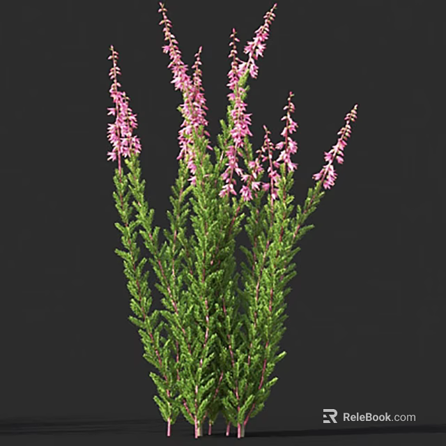 Green Shrub With Clustered Pink Flowers And Lush Foliage On Dark Background 3d model 