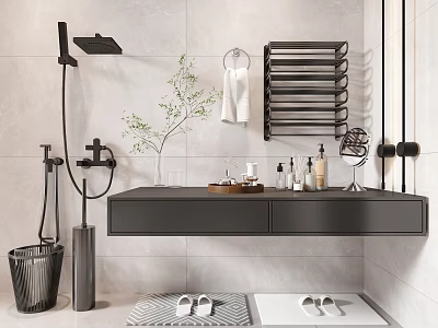 Modern Bathroom Accessories with Shower Towel Rack Sink Vanity Toiletries Slippers and Plant 3d model