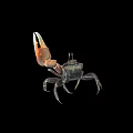 Reptile crab 3d model