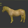 Light Brown Horse With White Mane And Tail Standing On Dark Background With Reflection 3d model