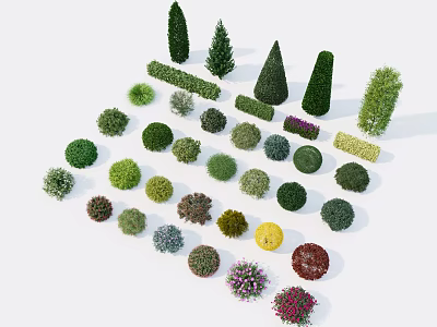 Various Types of Shrubs with Different Shapes Colors and Foliage for Garden Landscaping 3d model