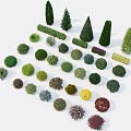 Various Types of Shrubs with Different Shapes Colors and Foliage for Garden Landscaping
