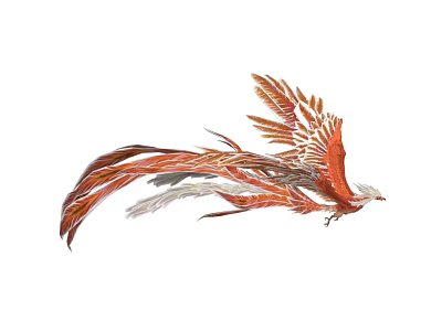 Red Phoenix Flying With Long Tail Feathers And Spread Wings 3d model