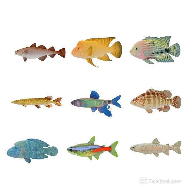 Various Colorful Aquatic Animals With Diverse Fish Species And Vibrant Patterns 3d model 