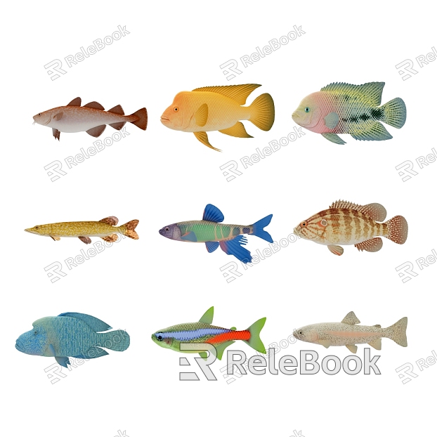 Modern Fish Goldfish Guppy Clown Fish Ornamental Fish Deep Sea Fish model