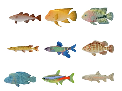 Various Colorful Aquatic Animals With Diverse Fish Species And Vibrant Patterns 3d model
