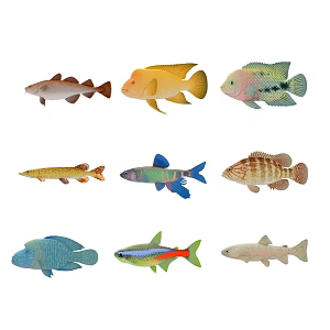 Modern Fish Goldfish Guppy Clown Fish Ornamental Fish Deep Sea Fish 3d model