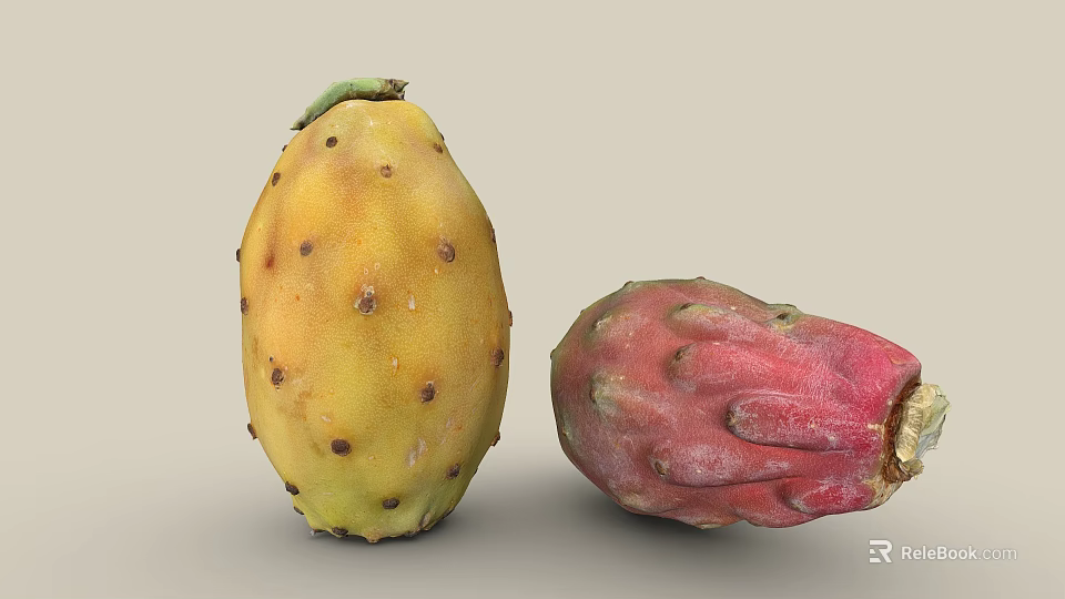 Fresh Yellow And Red Prickly Pear Fruits With Prickles On Neutral Background 3d model 