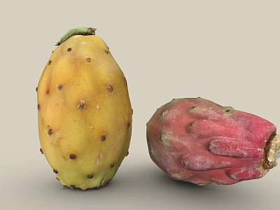 Fresh Yellow And Red Prickly Pear Fruits With Prickles On Neutral Background 3d model