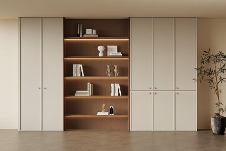 Middle Style Bookcase 3d model