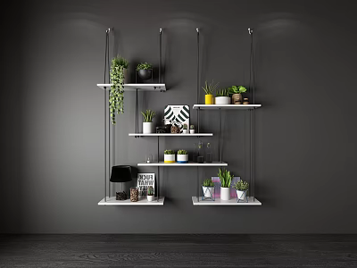 Hanging Wall Shelves With Green Plants And Decorations On Black Wall Interior 3d model
