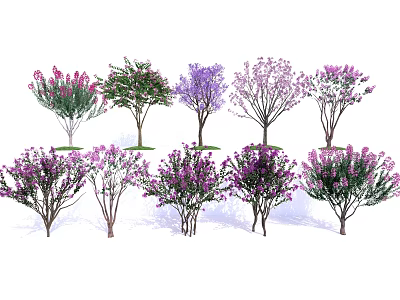 Various Types of Flowering Trees with Colorful Blooms and Different Shapes 3d model