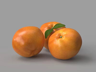 Three Fresh Orange Fruits With Green Leaves On Gray Background 3d model