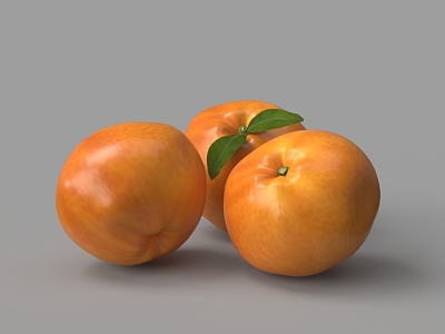 fruit orange 3d model