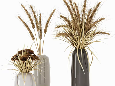 Minimalist Ceramic Vases With Dried Wheat And Decorative Plants Arrangement 3d model