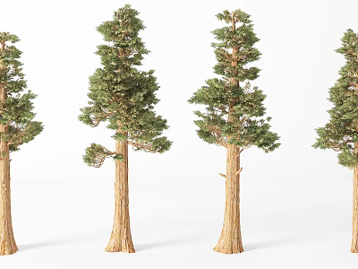 Arbor Trees With Green Foliage And Brown Trunks In Multiple Arrangement 3d model