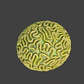 Green and Yellow Worms Forming Spherical Structure on Gray Background 3d model