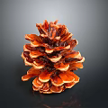 Natural Brown Pine Cone Decorative Ornament For Home Interior Decoration