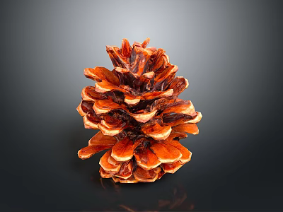 Natural Brown Pine Cone Decorative Ornament For Home Interior Decoration 3d model