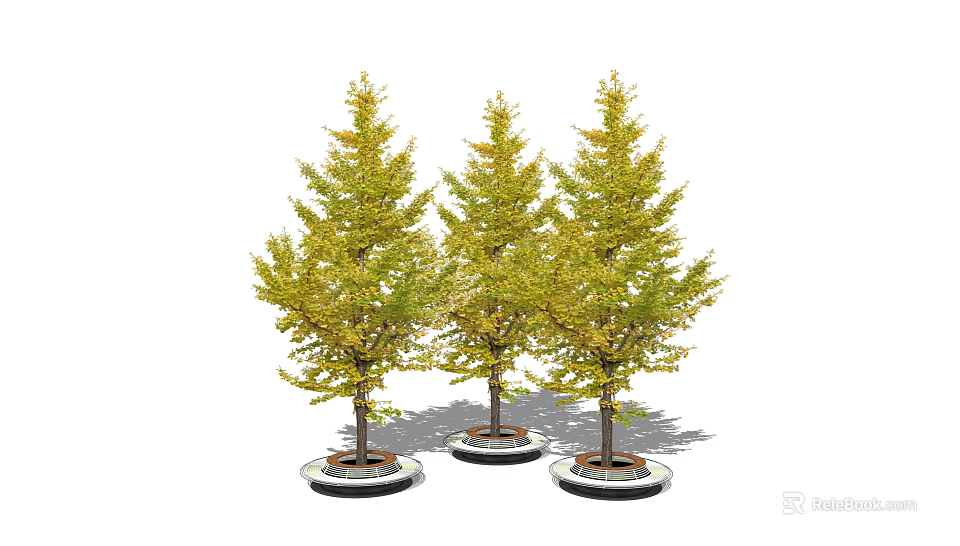 Three Lush Arbor Trees With Green Yellow Leaves And Round Planters For Landscape Design 3d model 