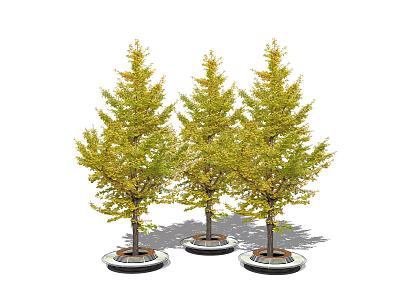Three Lush Arbor Trees With Green Yellow Leaves And Round Planters For Landscape Design 3d model