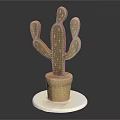 Decorative Ornament Set with Wooden Cactus Figure in Wooden Pot on White Base