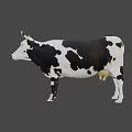 Realistic Black and White Spotted Cow 3D Model Standing Isolated on Gray Background