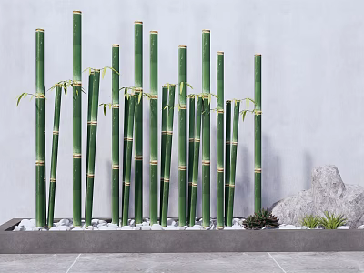 Green Bamboo Arrangement Standing Against Gray Wall Background With White Pebbles Stone and Small Plants 3d model