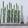 Green Bamboo Arrangement Standing Against Gray Wall Background With White Pebbles Stone and Small Plants