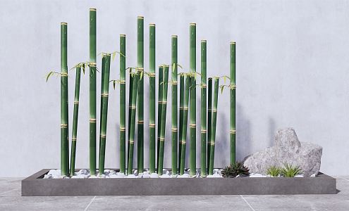 Modern bamboo indoor green bamboo flower bed flower box bamboo 3d model