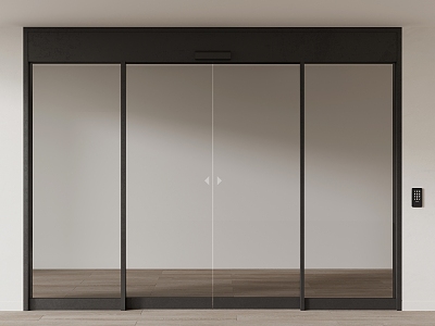 Double door induction door glass door model