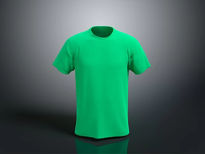 Basic Green Short Sleeve Crew Neck T-Shirt For Casual Daily Wear 3d model