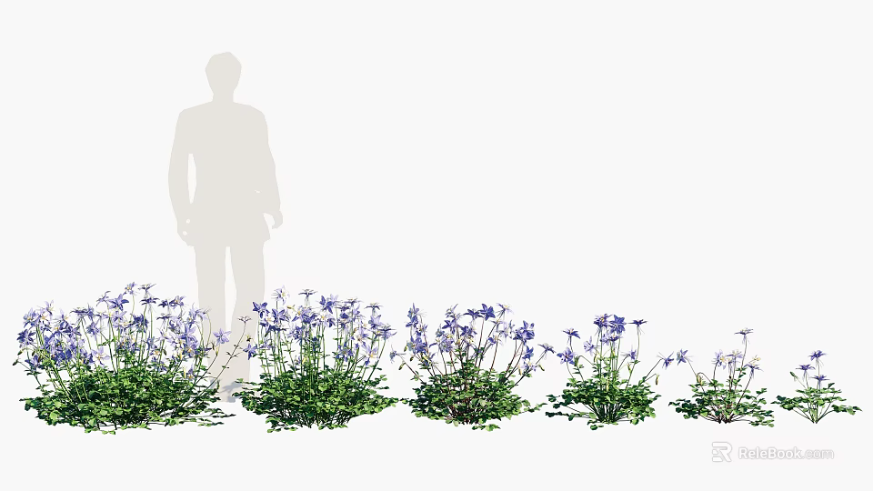 Purple Flowers With Green Leaves In Garden Arrangement Near Silhouette Of A Person 3d model 