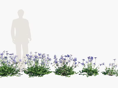 Purple Flowers With Green Leaves In Garden Arrangement Near Silhouette Of A Person 3d model