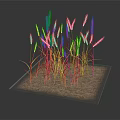 Golden Wheat Stalks Growing On Square Sandy Ground With Dark Background