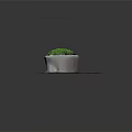 Green Moss Plant in Gray Cement Pot on Wooden Textured Mat