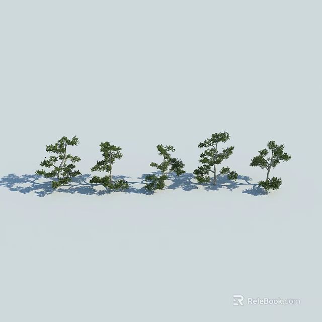 Five Green Arbor Trees Arranged In A Row With Shadows On Light Background 3d model