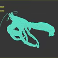 Red Lobster With Curved Claws And Long Antennae On Dark Background