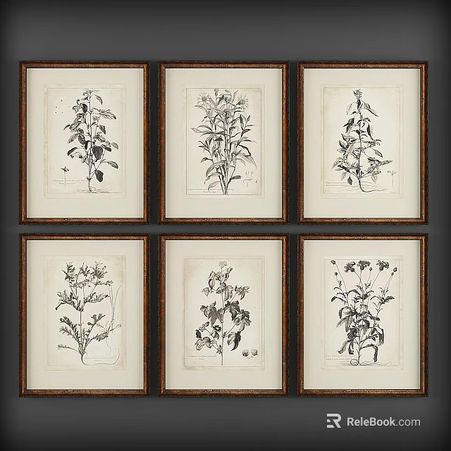 Photo Wall with Framed Botanical Sketches Arranged in Grid for Home Decor 3d model 