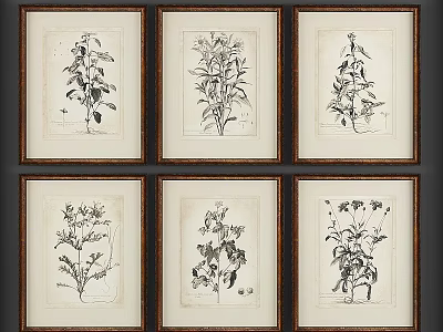 Photo Wall with Framed Botanical Sketches Arranged in Grid for Home Decor 3d model