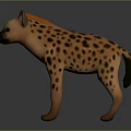 Realistic Detailed Spotted Hyena Model Standing in Pose on Dark Background