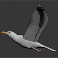 Seagull Flying With Spread Wings White Gray Feathers Yellow Beak On Dark Background